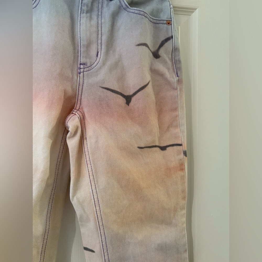 BDG Urban Outfitters cowboy sunset jeans size 25 birds ombré - Picture 8 of 16